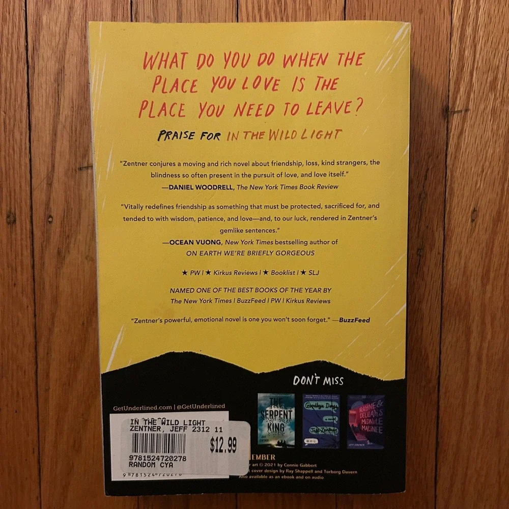 In the Wild Light by Jeff Zentner Paperback YA Contemporary Fiction Novel
